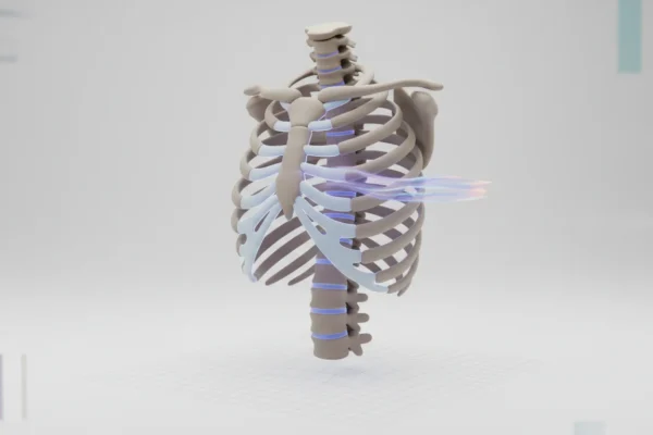 Algorithmic Drift: The Silent Threat to AI ROI in Radiology